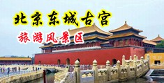 美女老师乳交中国北京-东城古宫旅游风景区